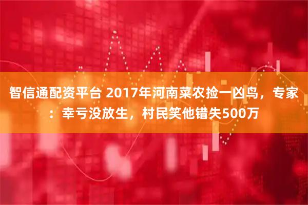 智信通配资平台 2017年河南菜农捡一凶鸟，专家：幸亏没放生，村民笑他错失500万
