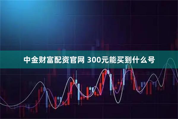 中金财富配资官网 300元能买到什么号